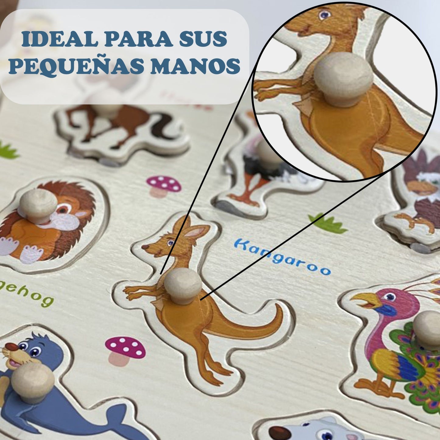 Pack 3 Puzzle de Madera con Empuñadura - Niños 1 a 3 años